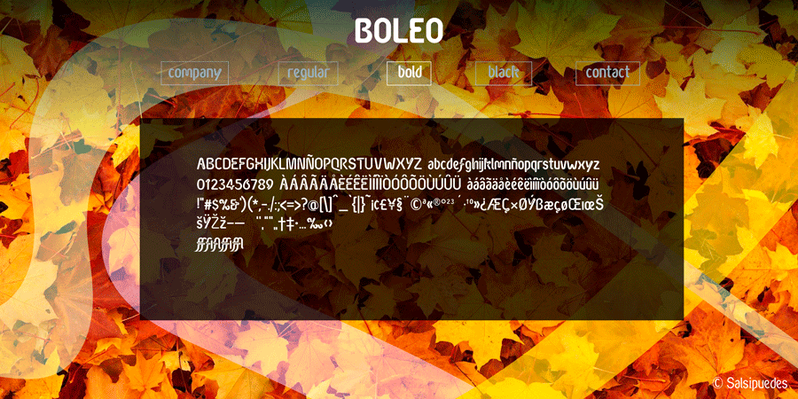 Boleo Typeface